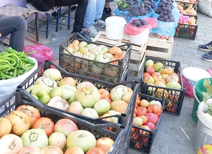 Ürünler görücüye çıktı