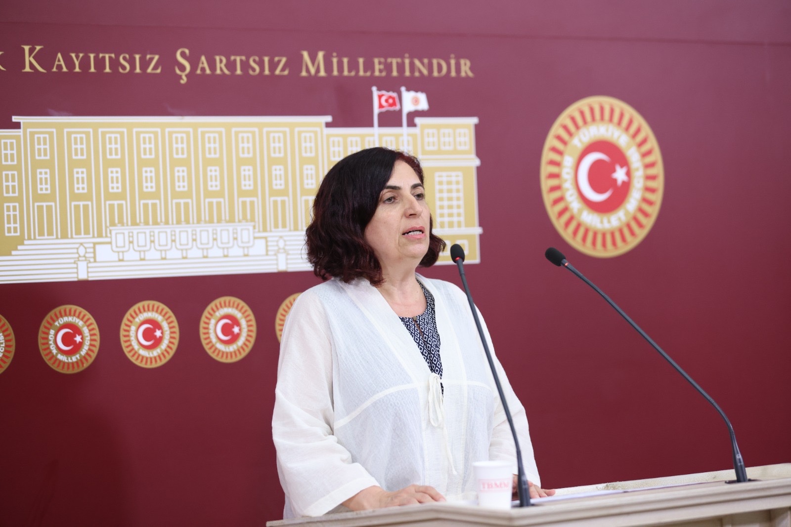 DEM Partili Sevilay Çelenk’ten Instagram yasağı isyanı: “AKP baş aşağı gittiği bir dönemde, Instagram yasağı ile baltayı taşa vurdu!”