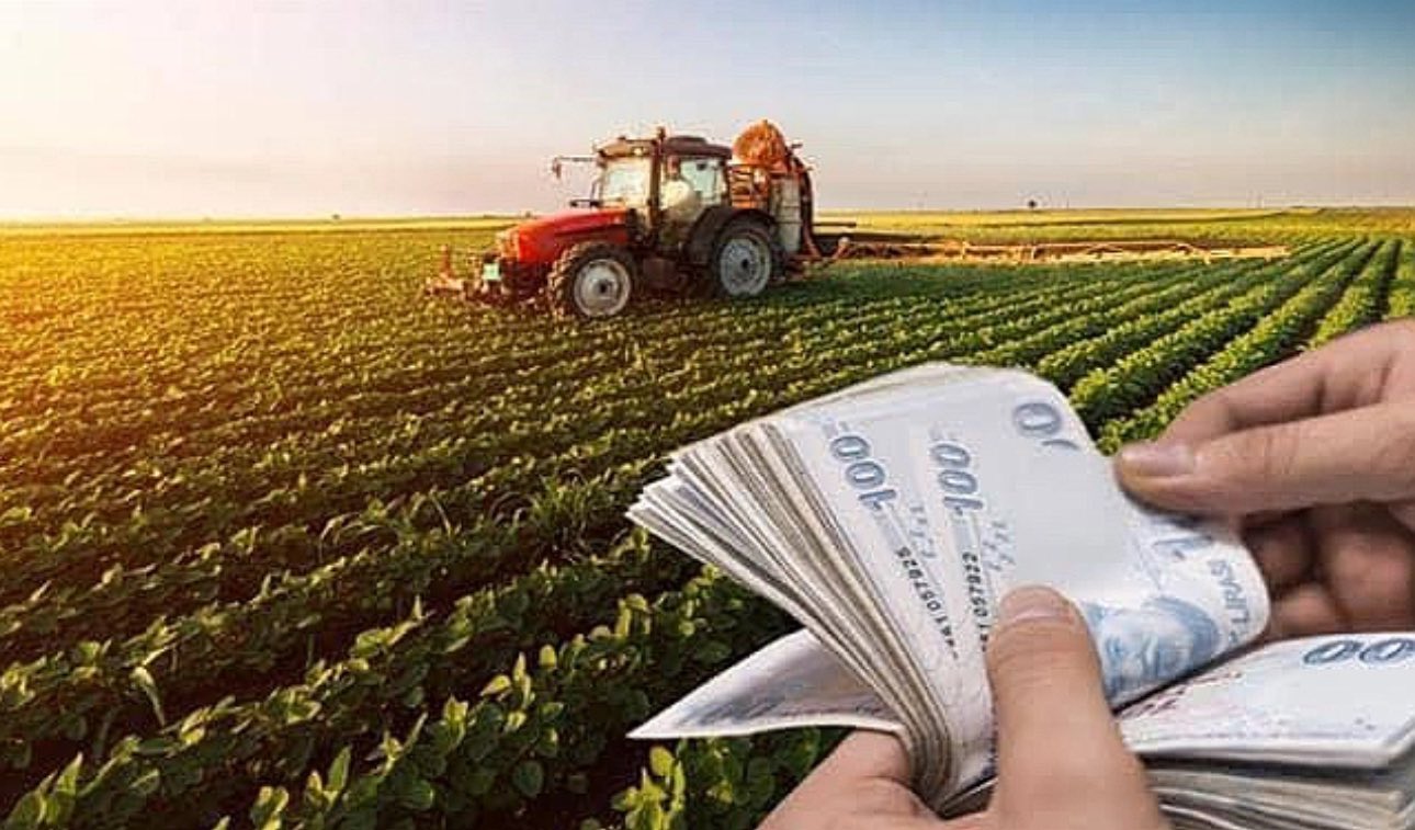 Çiftçilere bu yıl verilecek Bitkisel Üretim destekleri açıklandı