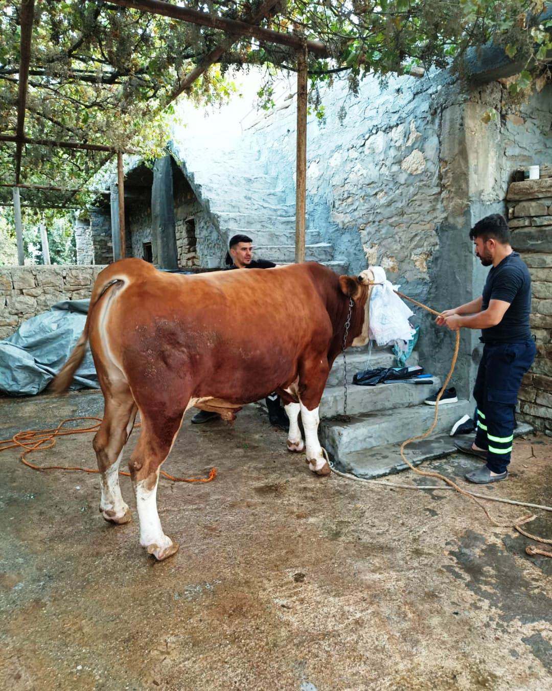 Et tüketimi düştü