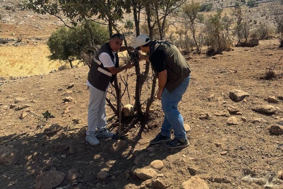 Fotokapanlarla yaban hayatı tespit ediliyor