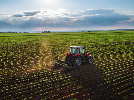 Hazineye ait tarım arazileri ekonomiye kazandırılıyor
