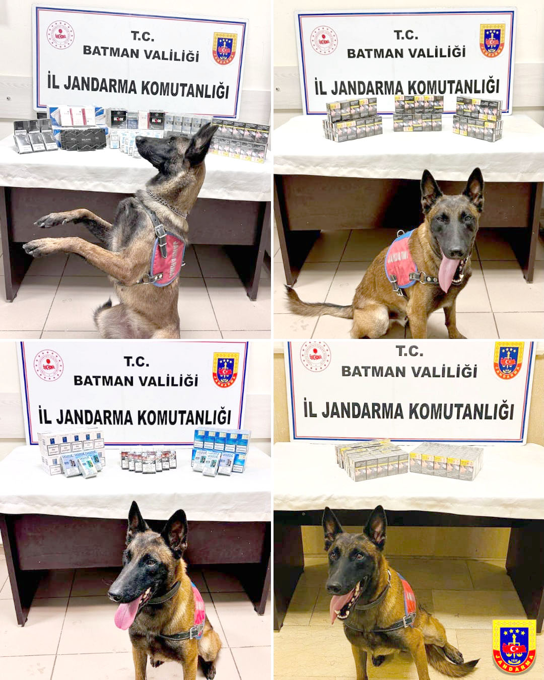 Hasankeyf’te 998 Paket kaçak sigara ele geçirildi