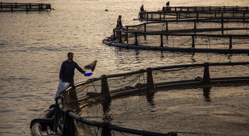 Su Ürünleri Avcılığına yeni düzenlemeler getirildi