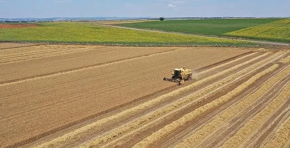 İki yıl üst üste işlenmeyen tarım arazileri kiraya verilecek