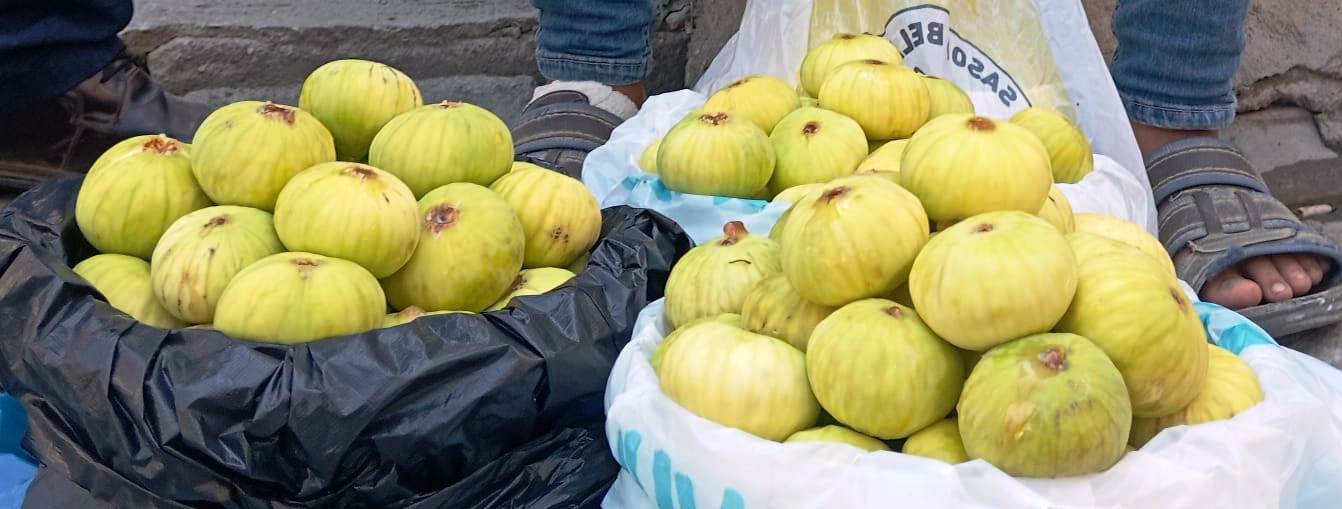 Okul Harçlıkları İncirden