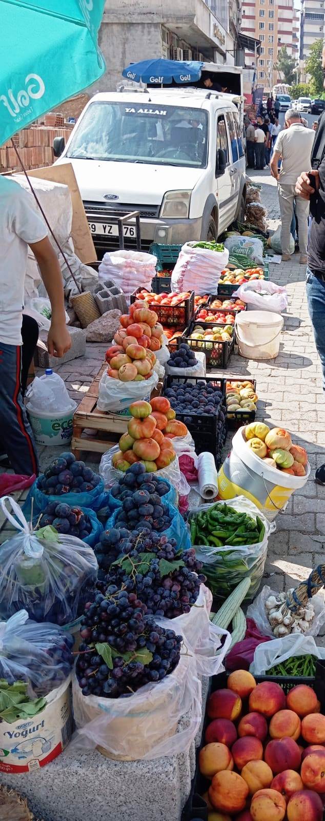 ORGANİKLER ÜRÜNLER KAPIŞ KAPIŞ