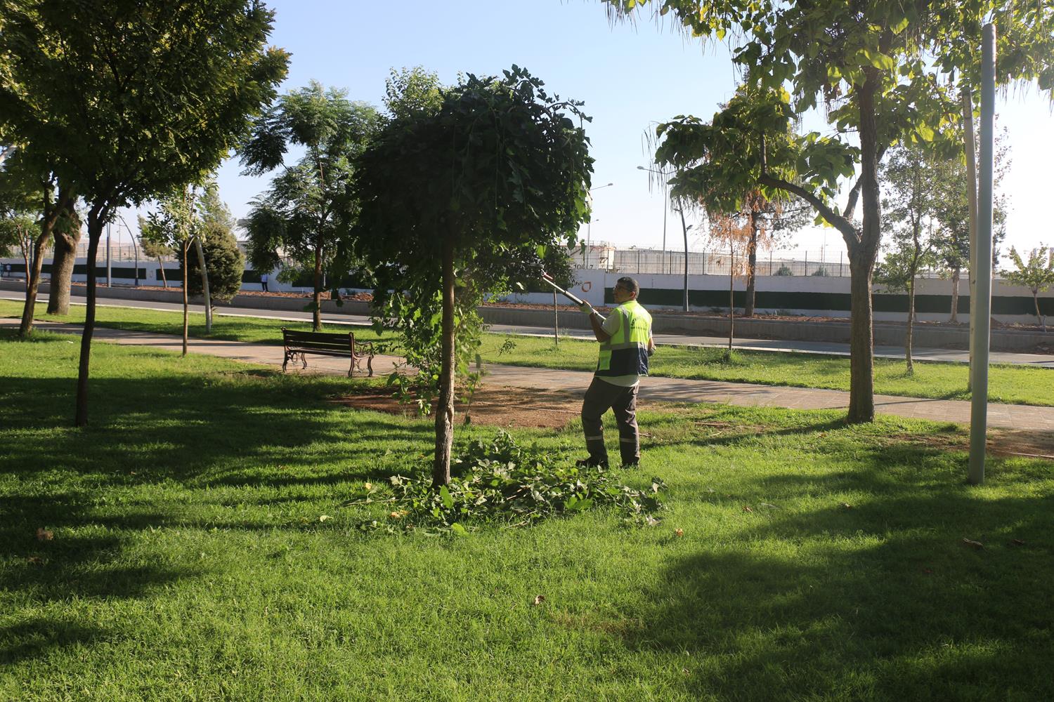 Yeşil Alanlar ile Süs Havuzlarına Düzenli Bakım