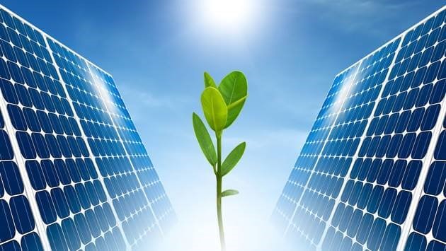 Hazine arazileri yenilenebilir enerji üretimi için tahsis ediliyor