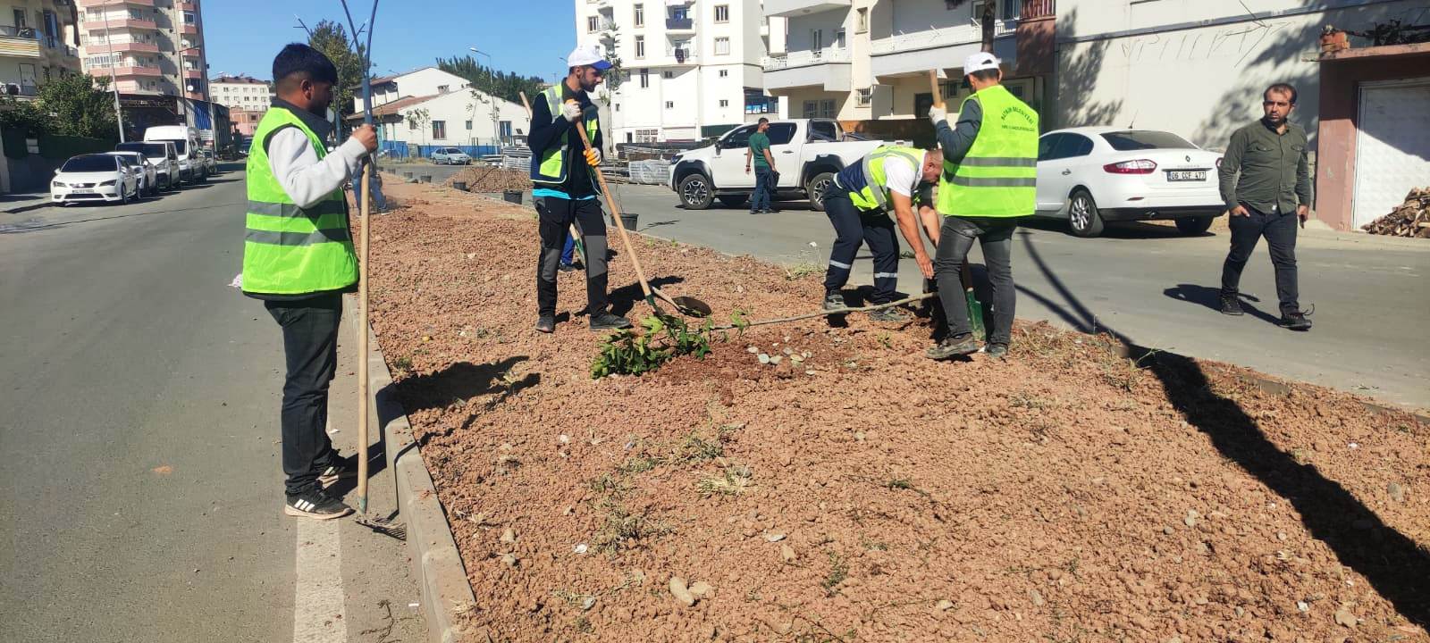 Park ve Bahçelerde Ağaçlandırma ve Çimlendirme