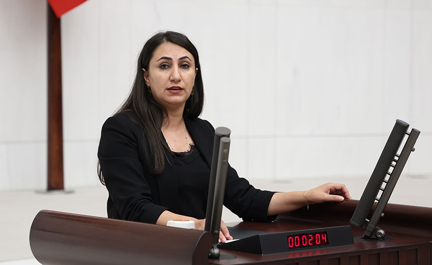 Zeynep Oduncu Kutevi: “Çiftçinin üretimden koparılması halkın ekmeğinin çalınmasıdır”