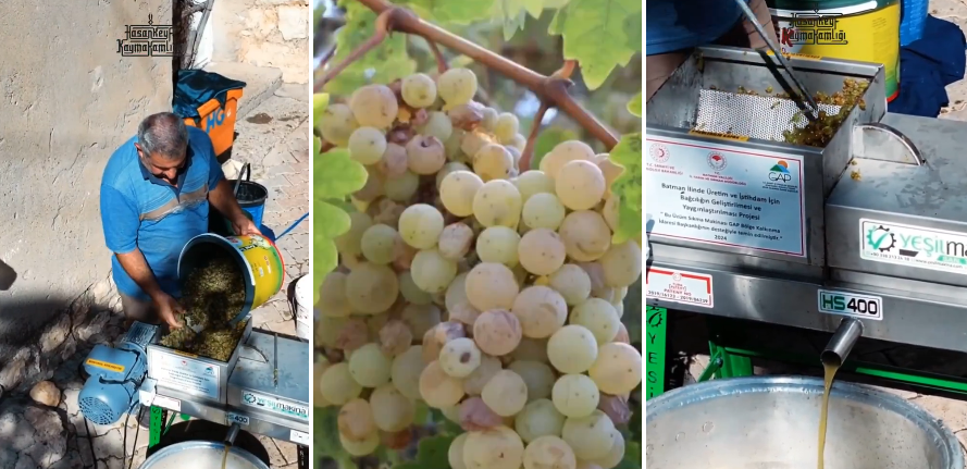 Hasankeyf’te üreticilere üzüm sıkma makinesi desteği
