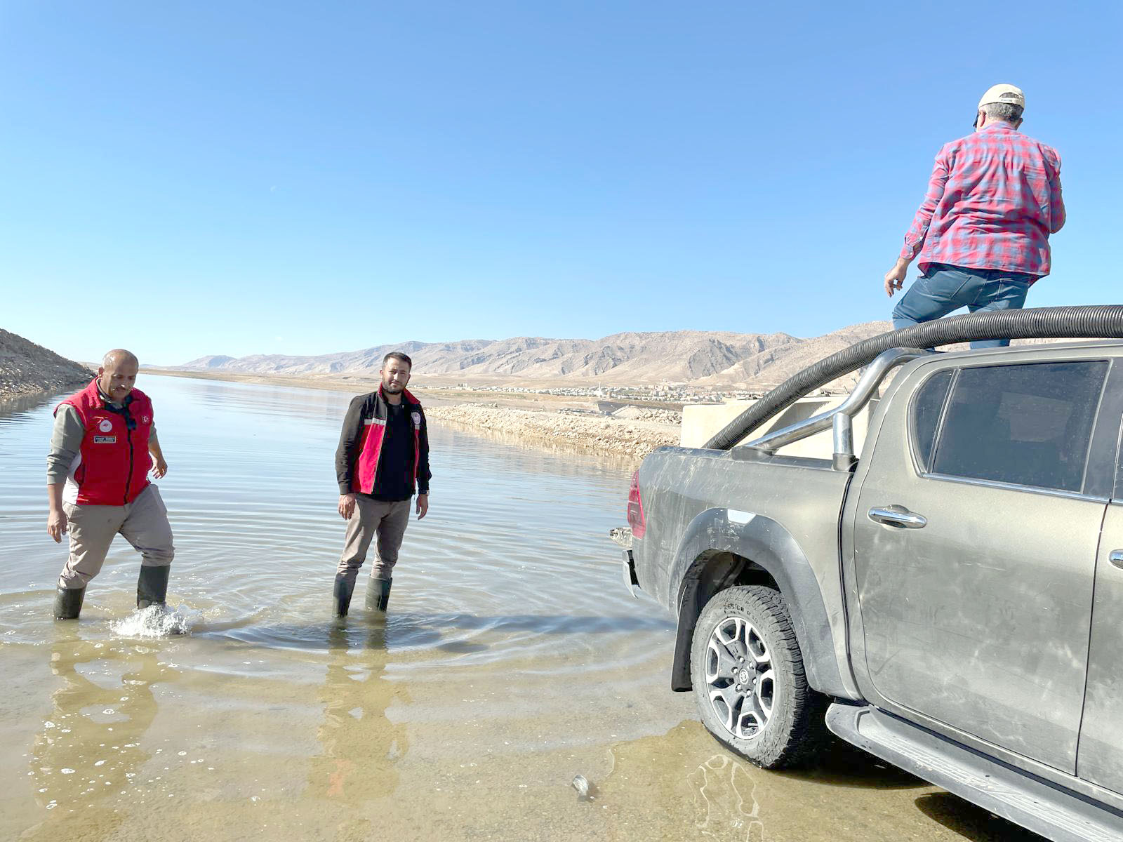 Ilısu Baraj Gölü’ne 1 Milyon yavru şabut balığı bırakıldı
