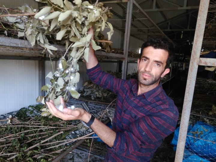 Aktaş ‘Fiyat artışı üretimi cazip hale getirdi’