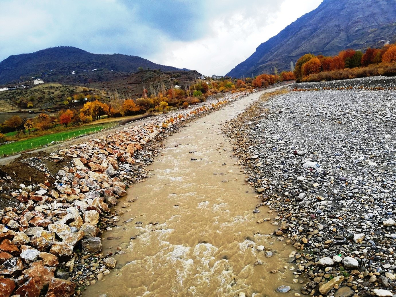 KENDİLİĞİNDEN OLUŞAN AĞAÇLAR GÜZELLİK KATTI
