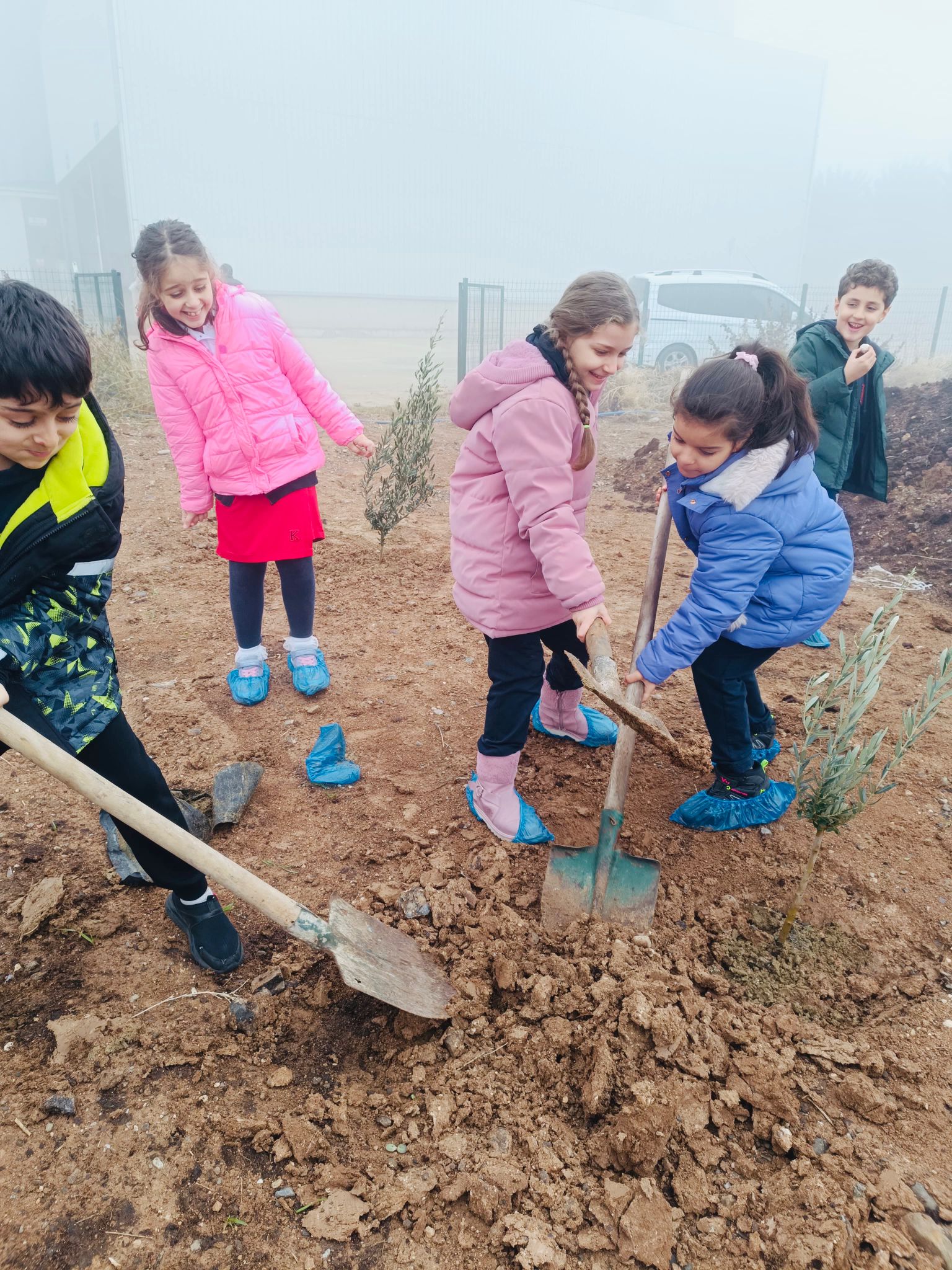 Ted Batman Kolejinden Meyve Bahçesi