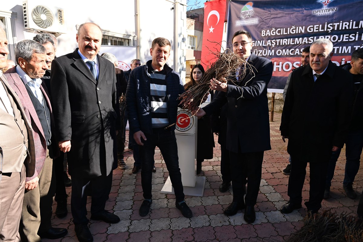 Gercüş ilçemizde, Çiftçilerimize 5 bin adet Aşılı Asma Fidanı Dağıtıldı