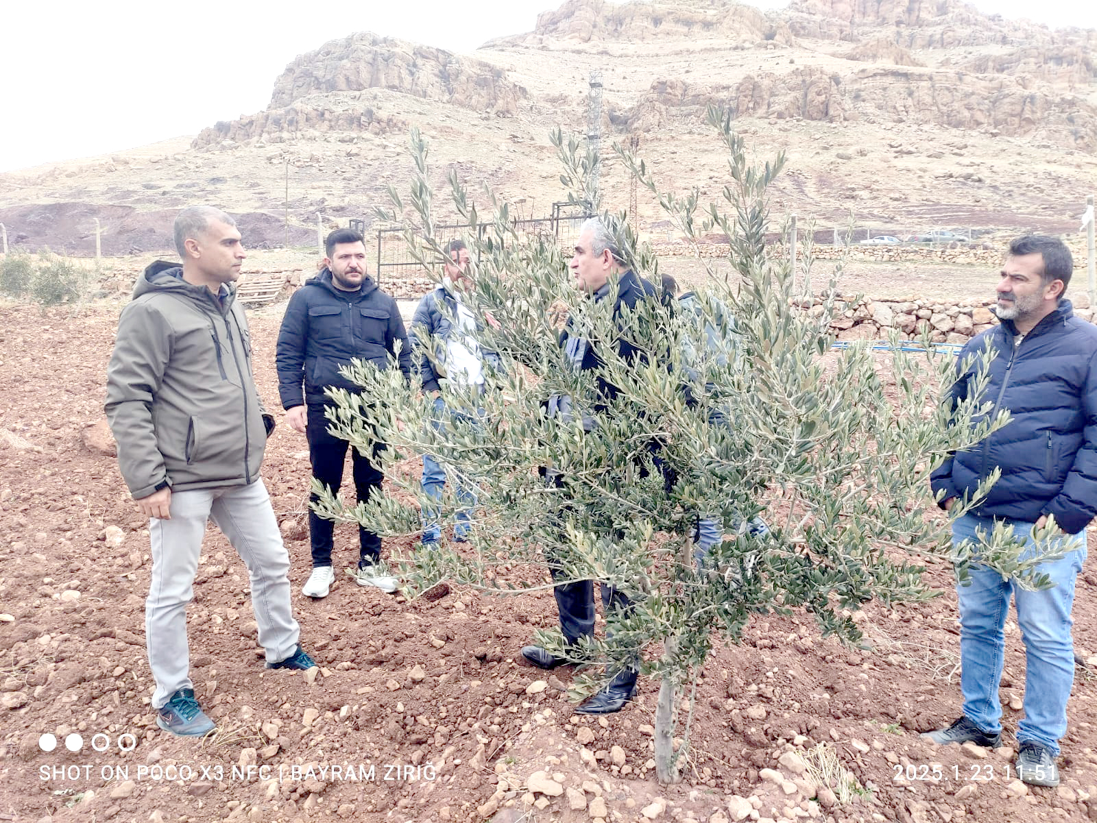 Hasankeyf’te Zeytin Yetiştiriciliği için Derik’e teknik ziyaret