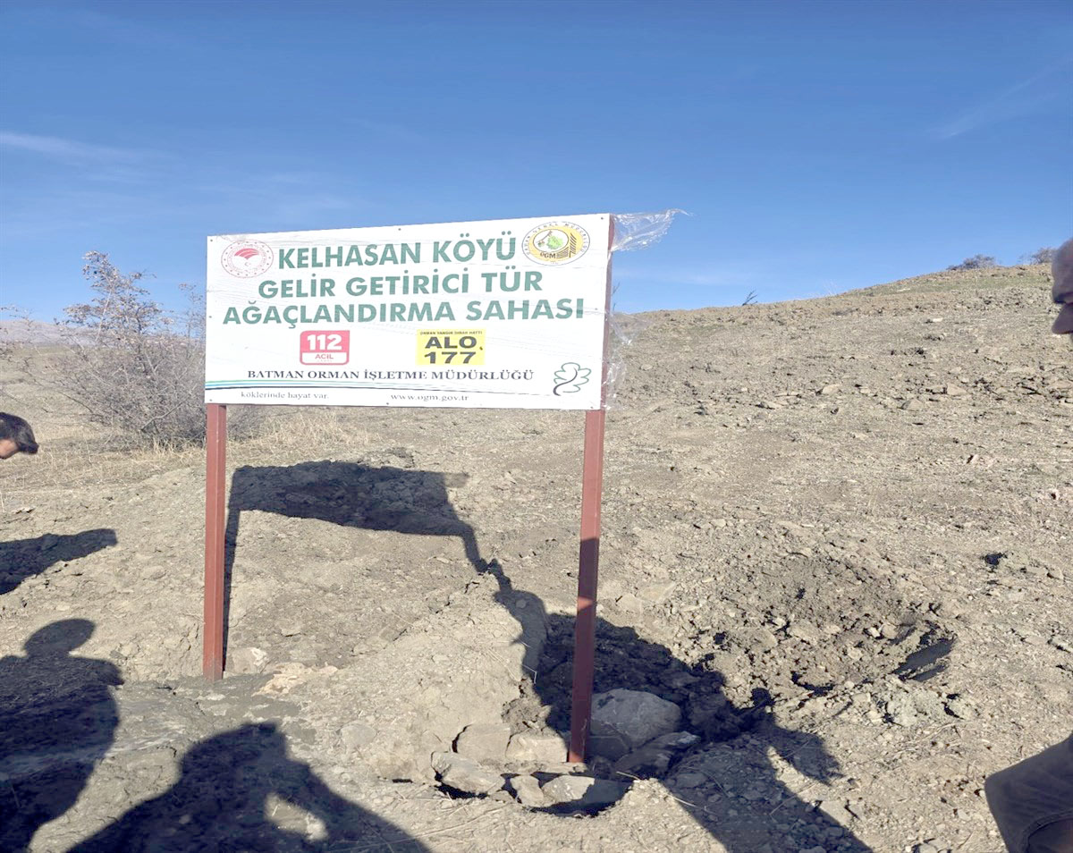 Sason Kelhasan Köyü’nde gelir getirici tür ağaçlandırma projesi tamamlandı