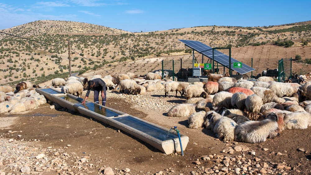 Serçe Parmak Projesi hayata geçirildi