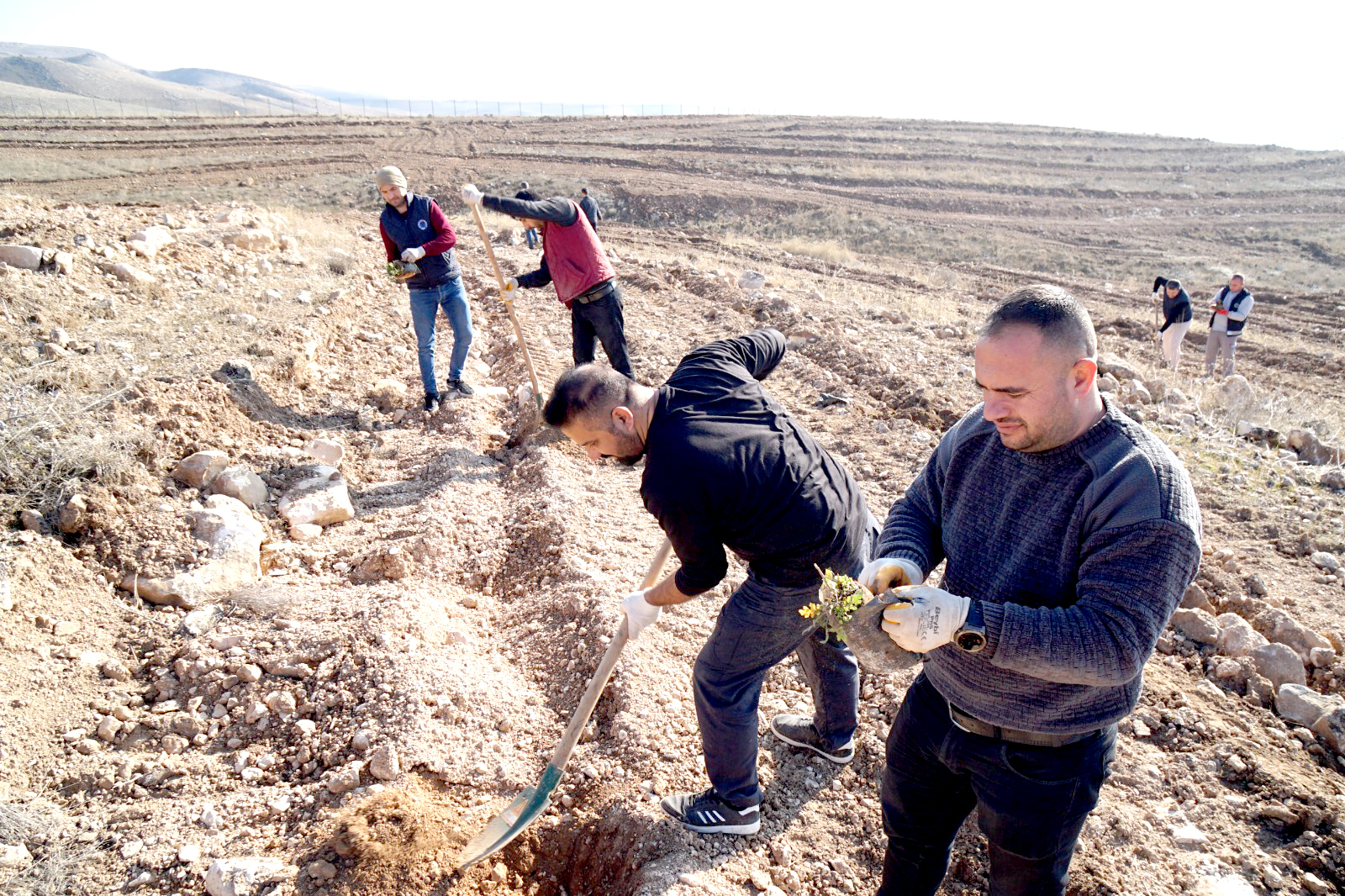 Batman Üniversitesinde 3375 Fidan Toprakla buluştu