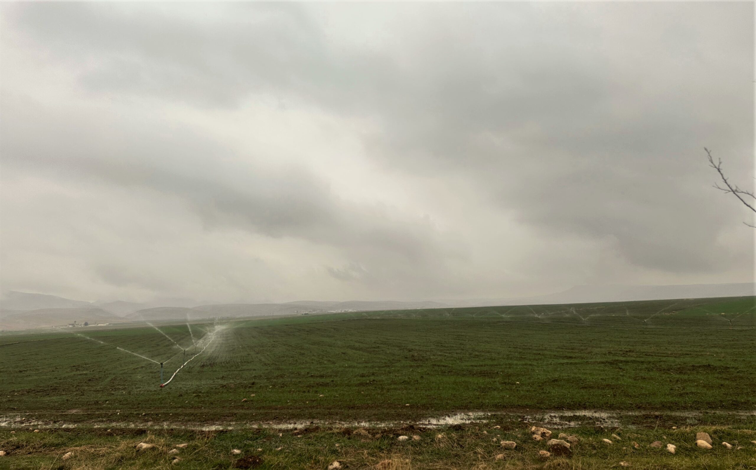Dicle Elektrik’ten Şaşkınlık Uyandıran Tespit: Çiftçi, Yağmurlu Havada Kaçak Elektrik Kullanarak Tarlasını Suladı!