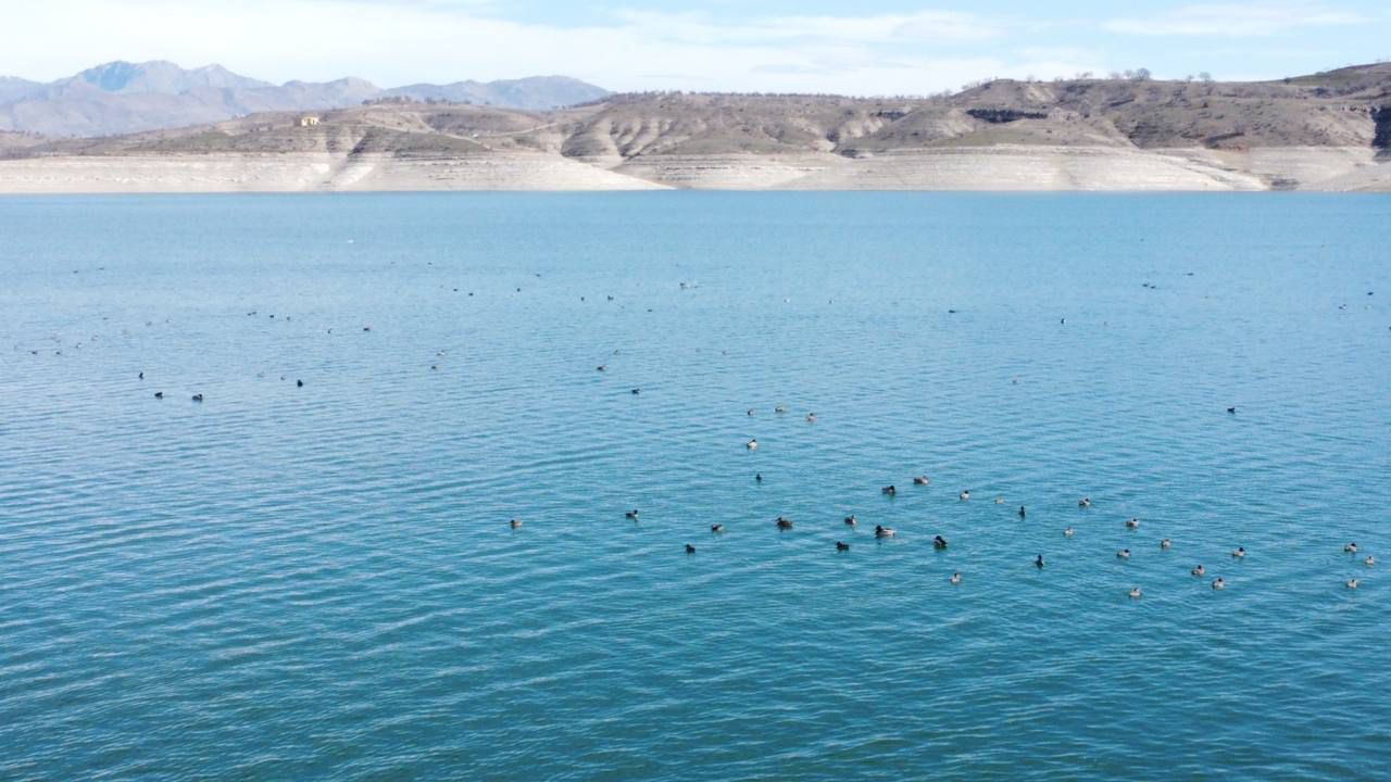 Kış Ortası Su Kuşu Sayımı (KOSKS) gerçekleştirildi