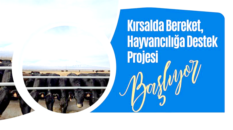 Kırsalda Bereket, Hayvancılığa Destek Projesine nasıl başvurulur?