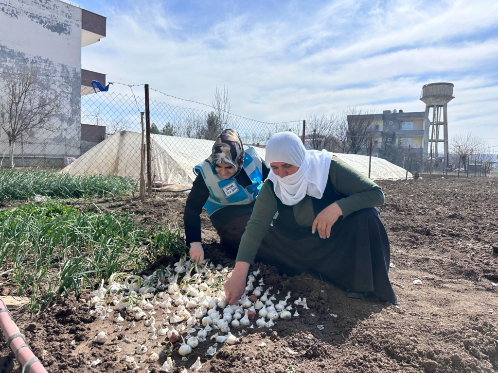 AK Parti Kadın Kolları Başkanı Seval Aksoy Çiftçi Kadınlarla Buluştu