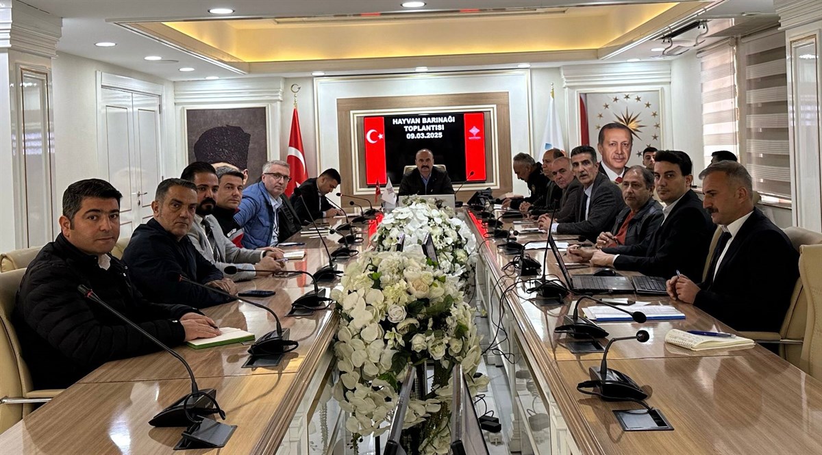 Sokaklardaki sahipsiz hayvanlar için kritik toplantı