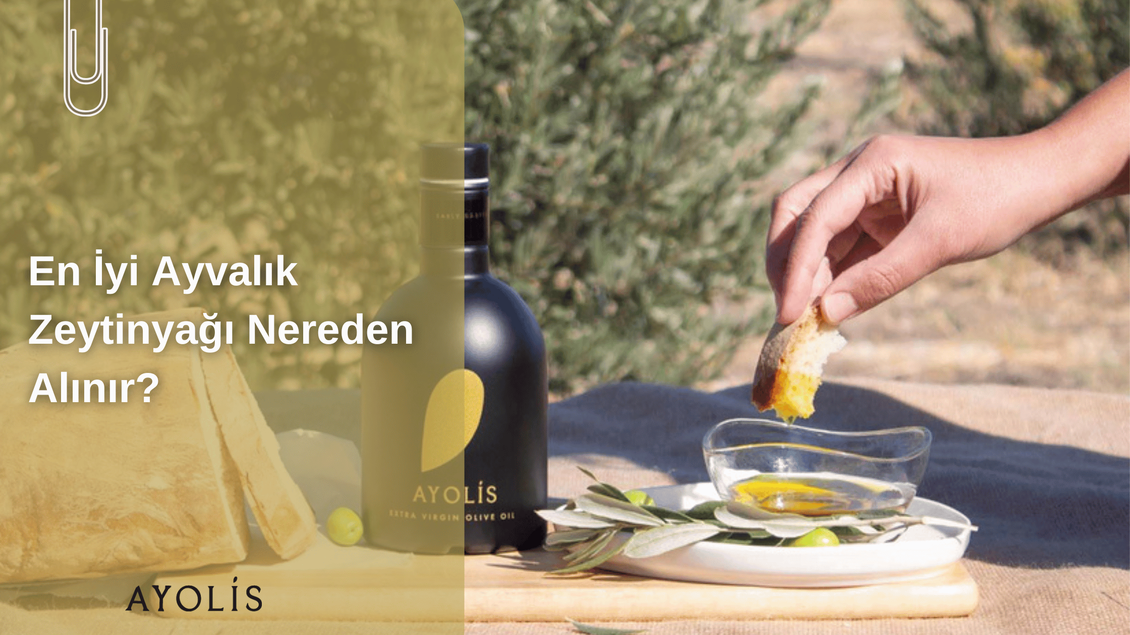 En İyi Ayvalık Zeytinyağı Nereden Alınır?