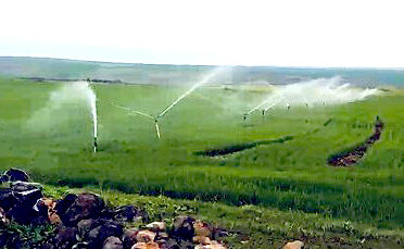 Tarımsal Sulamada Elektrik Tüketimi Rekor Kırdı