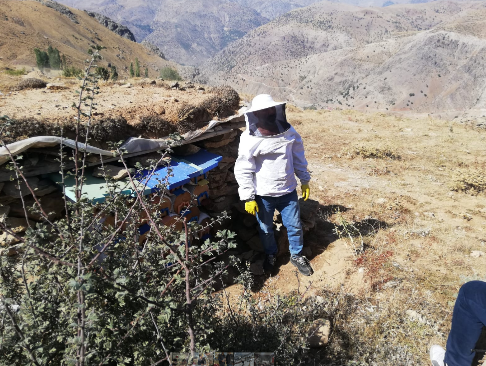 Soğuk Hava Arıları Tehdit Ediyor