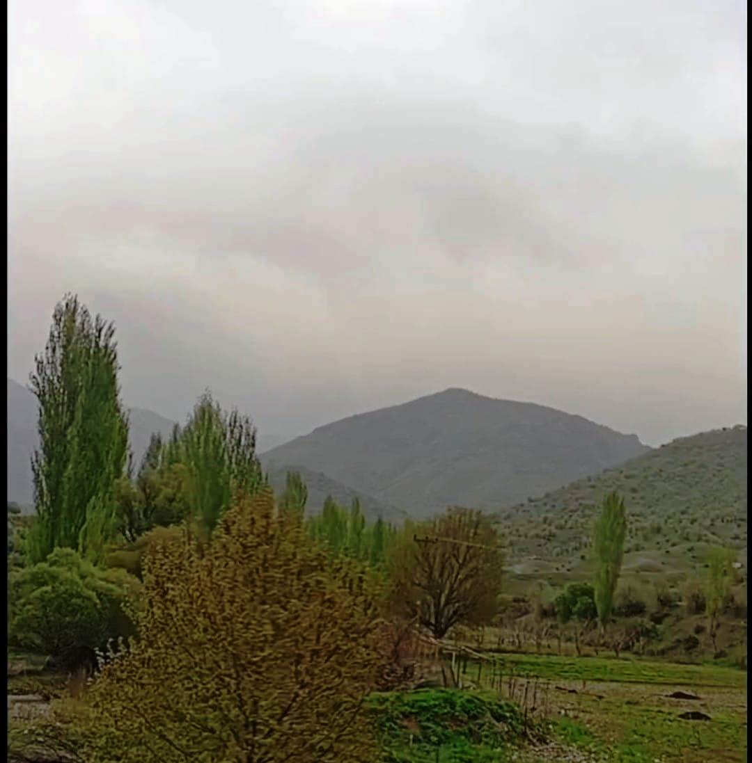 Yağışlar çiftçileri sevindirdi