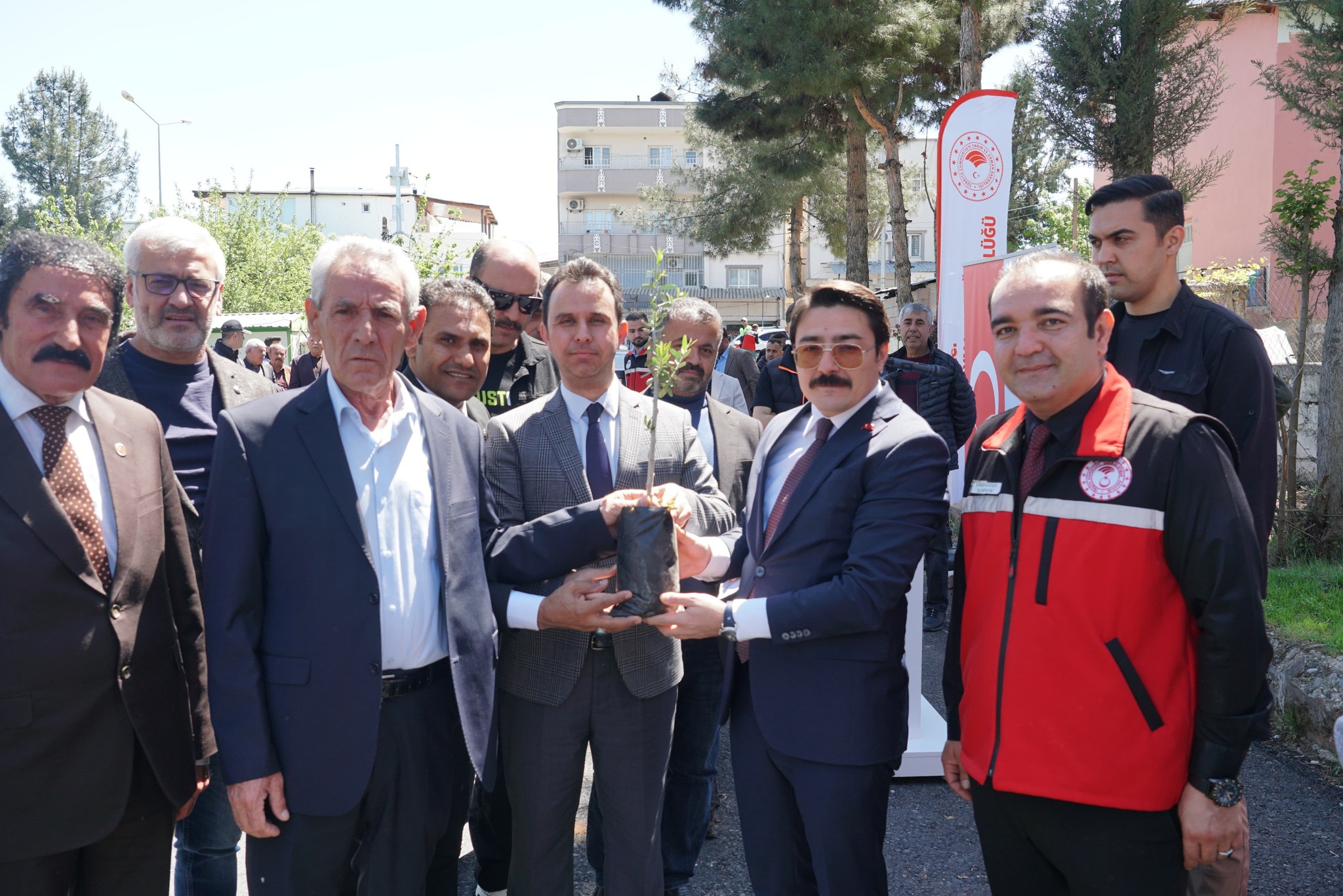 Beşiri’de Çiftçilere 2.500 adet Zeytin Fidanı dağıtıldı