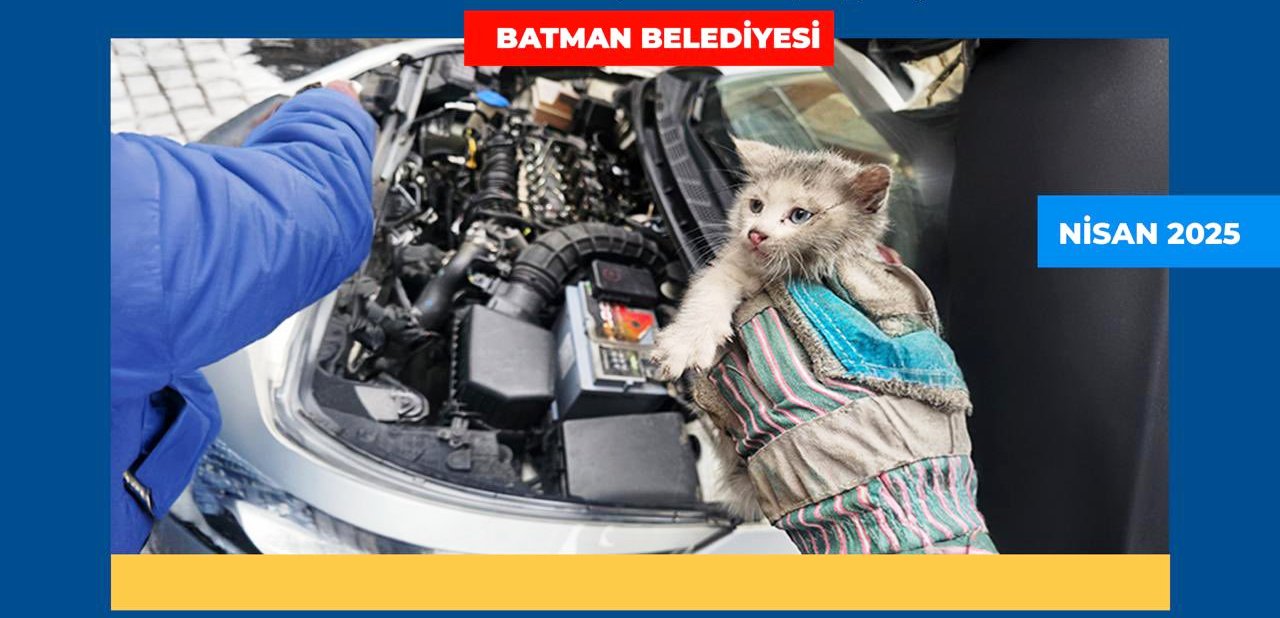 İTFAİYE EKİPLERİMİZ MİNİK KEDİYİ BULUNDUĞU YERDEN KURTARDI