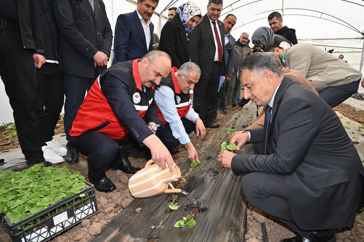 Balpınar’da 31 Yeni Sera Kuruldu