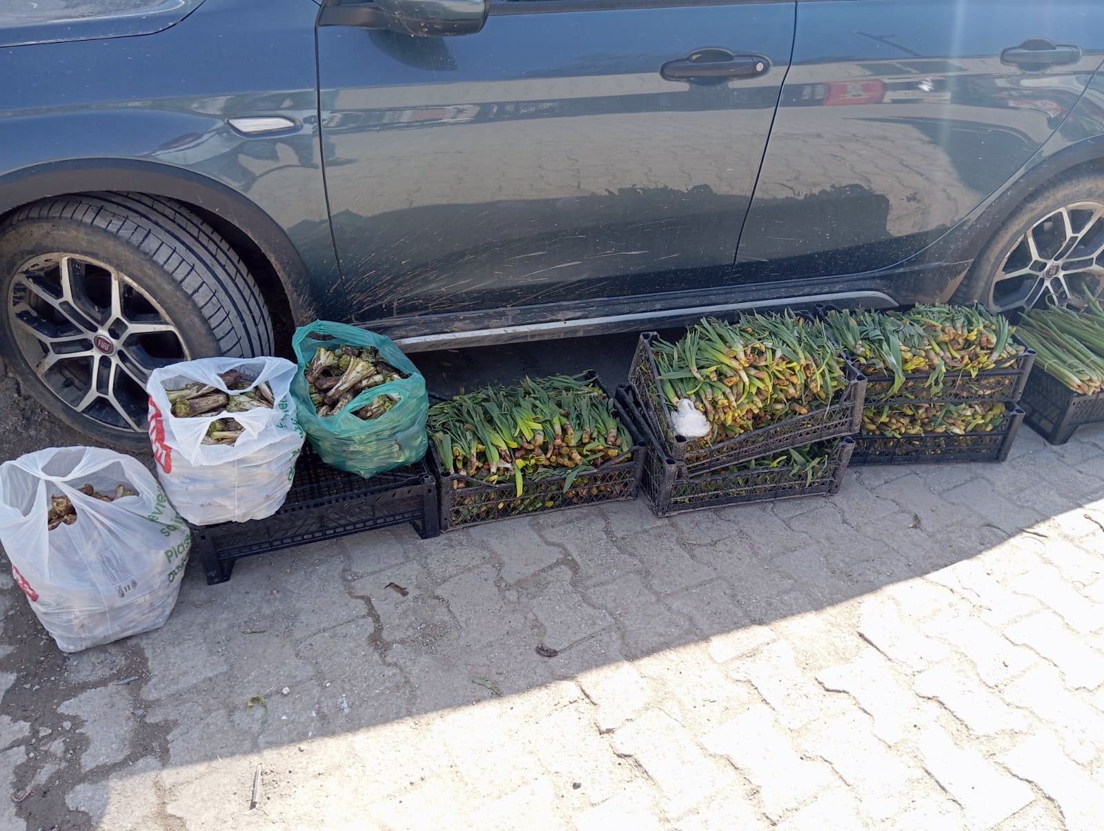 Şifalı Otlar Sofraları Süslüyor