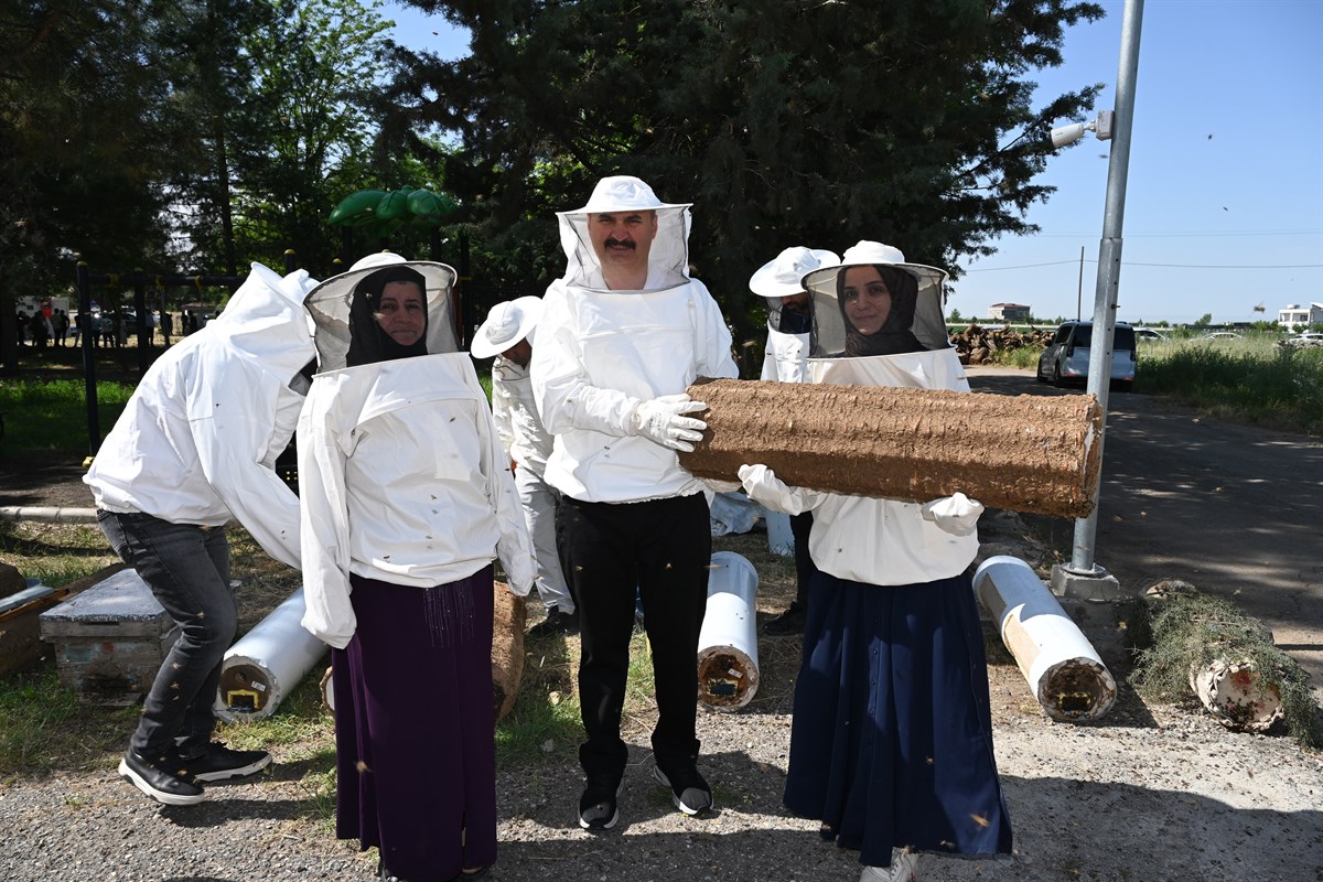 570 Adet Arılı Sepet Kovan Çiftçilere Dağıtıldı