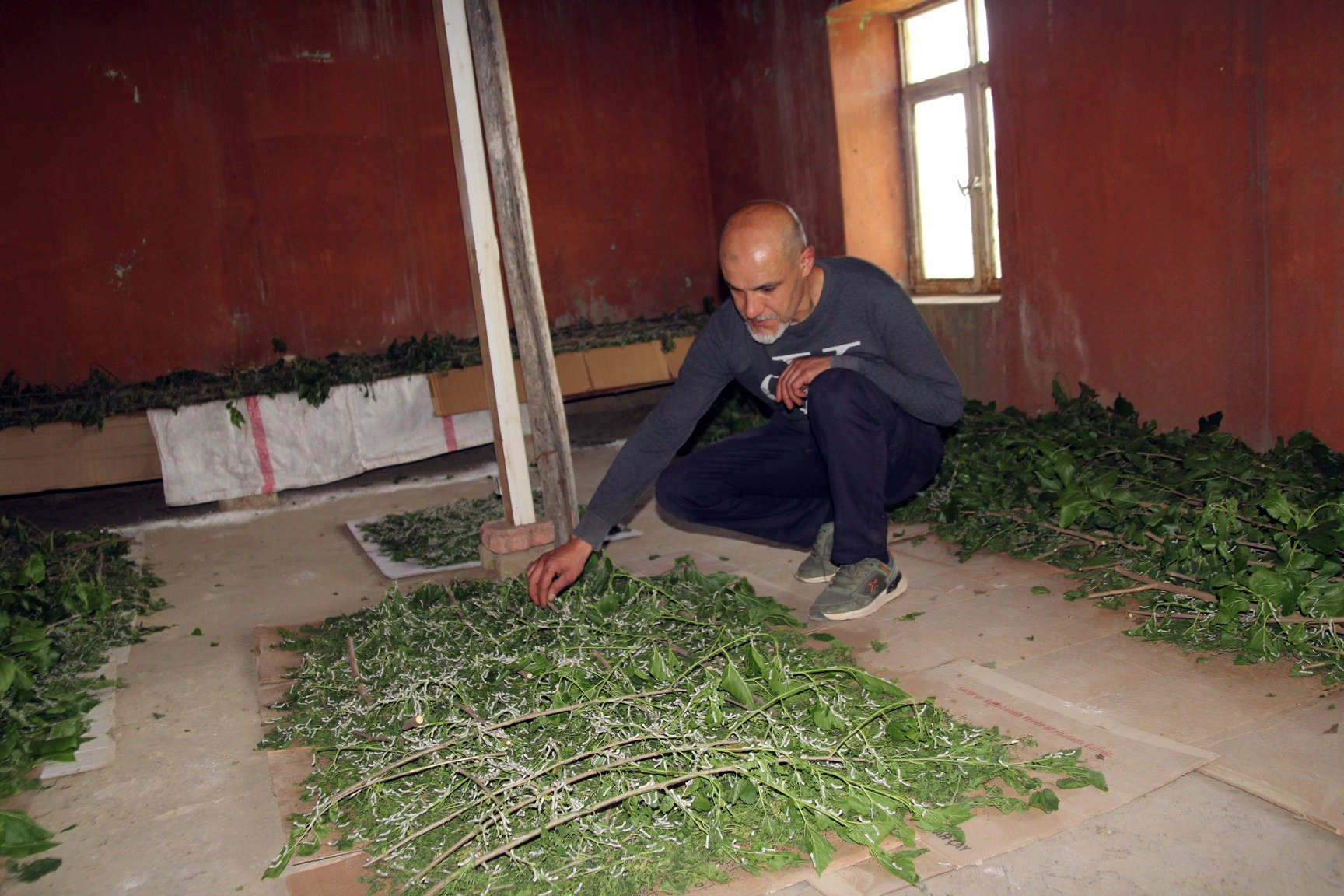 Sason’da İpek Böcekçiliği ilçeye ek gelir sağlıyor