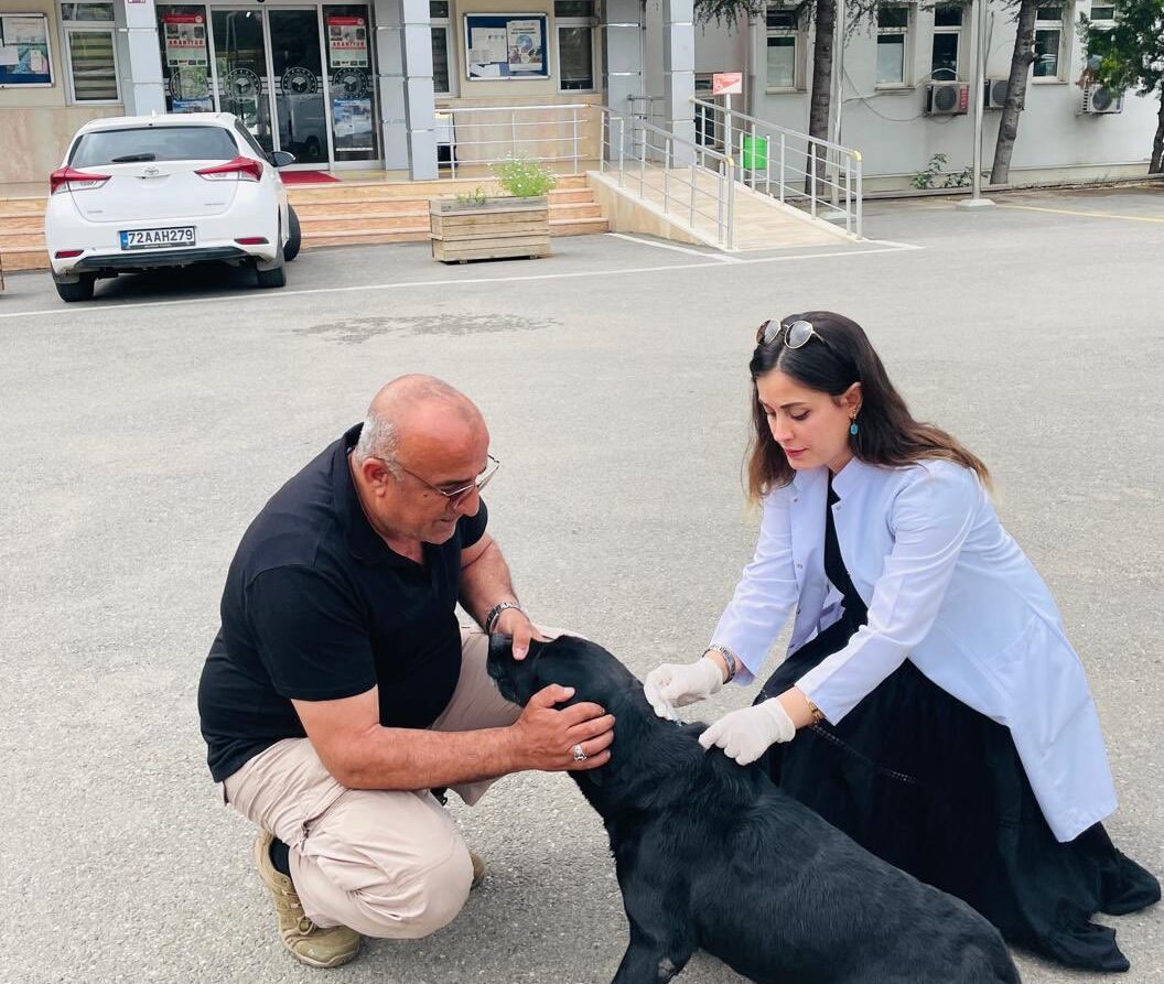 Ev Hayvanlarına Mikroçip ve Kimliklendirme işlemleri devam ediyor