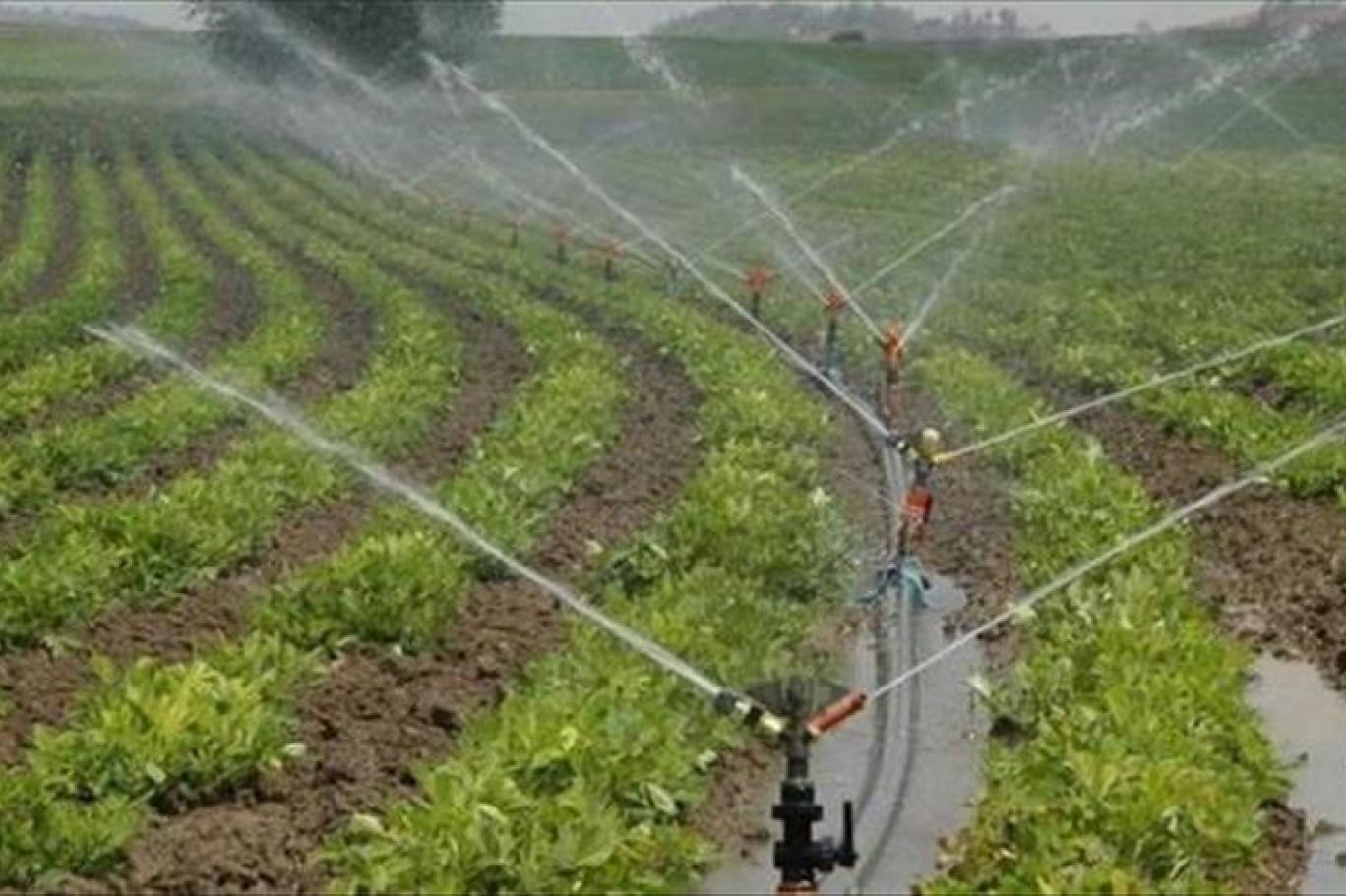 Batman Belediyesi’nden Su Kullanımı Uyarısı: ‘Tarımsal Sulamada İçme Suyu Kullanılmayacak’