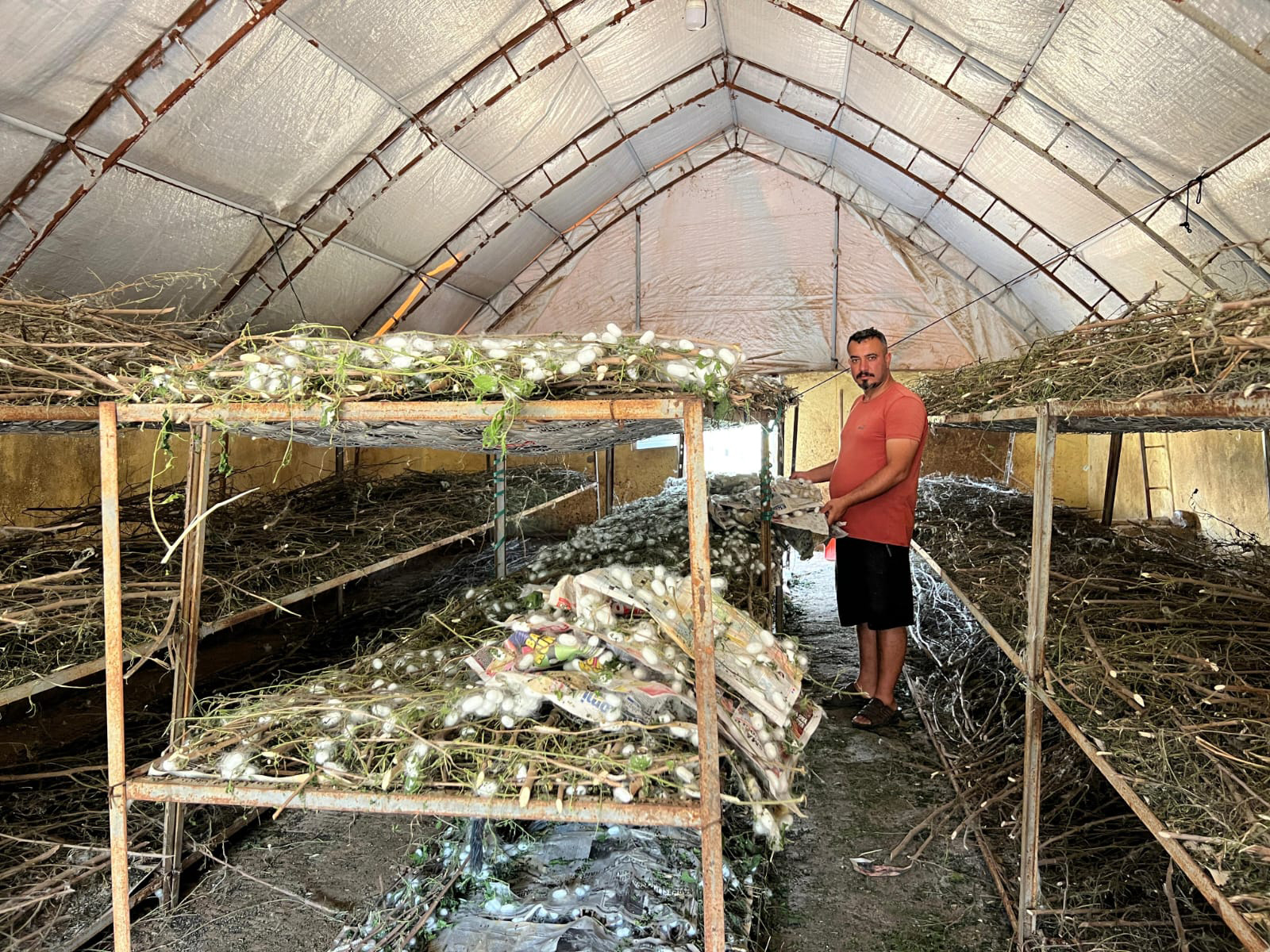 Koza Hasadı Sason’da yüzleri güldürdü