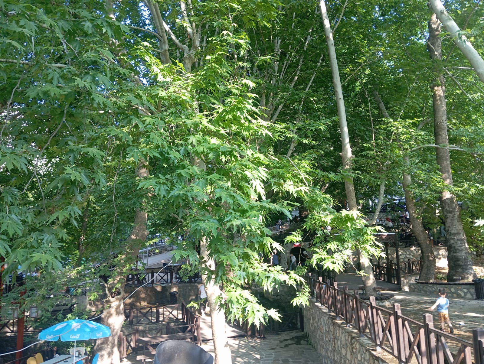 Mesire Alanları Doldu Taştı