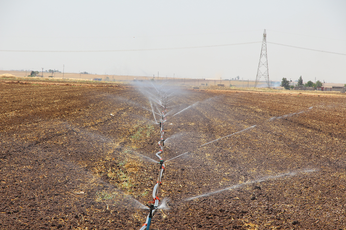 Mısır Ekimine Uymayanlar Enerji ve Su Krizini Derinleştiriyor
