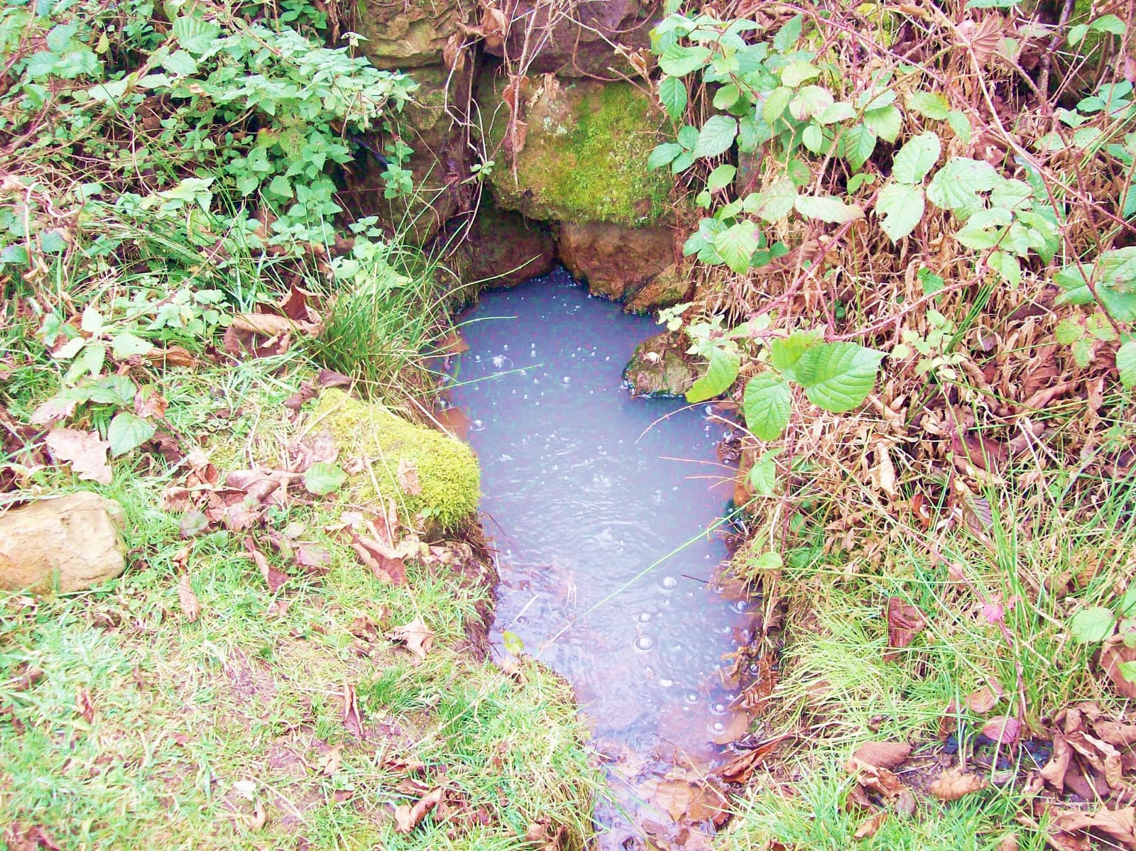 Sason’da Şifalı Su Kuyruğu