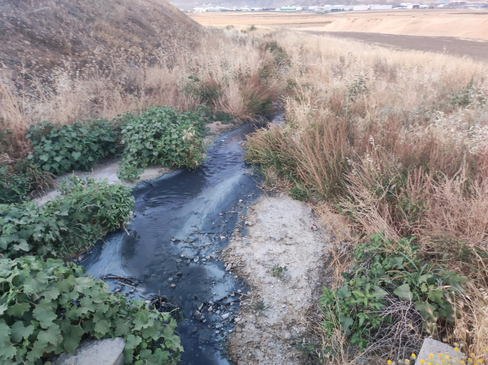 Argunağa ‘Atık Arıtma Tesisi acilen hizmete açılmalıdır’   