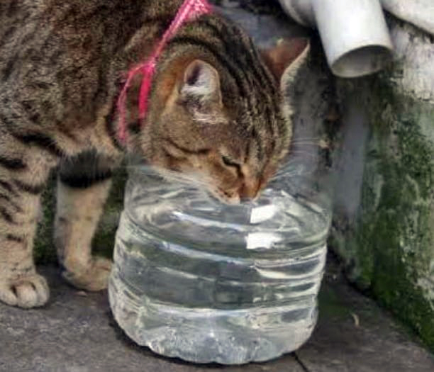 Sıcaklarda Onları Unutmayalım