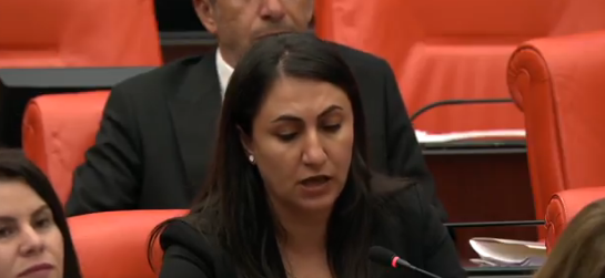 ‘Yılkı Atlarının Vahşice Öldürülmesine Sessizlik Anlamlı Değil’