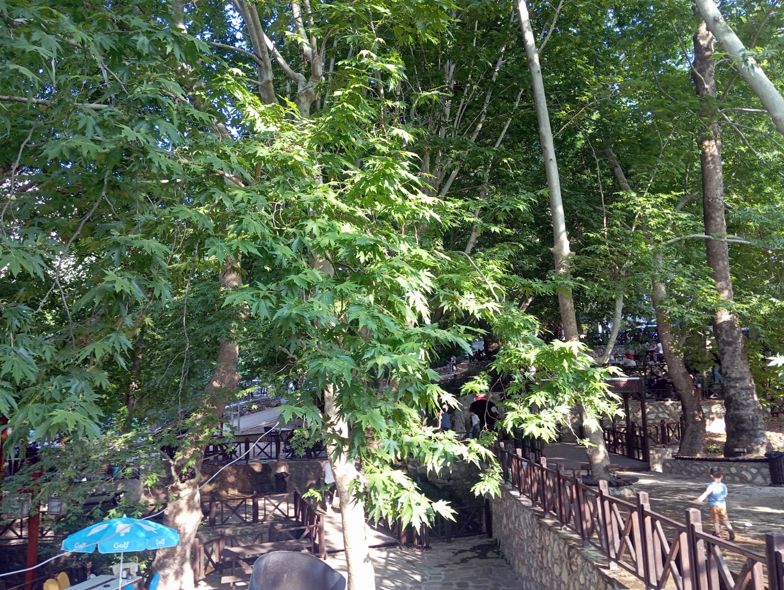 Sıcaklarla birlikte mesire alanları doldu